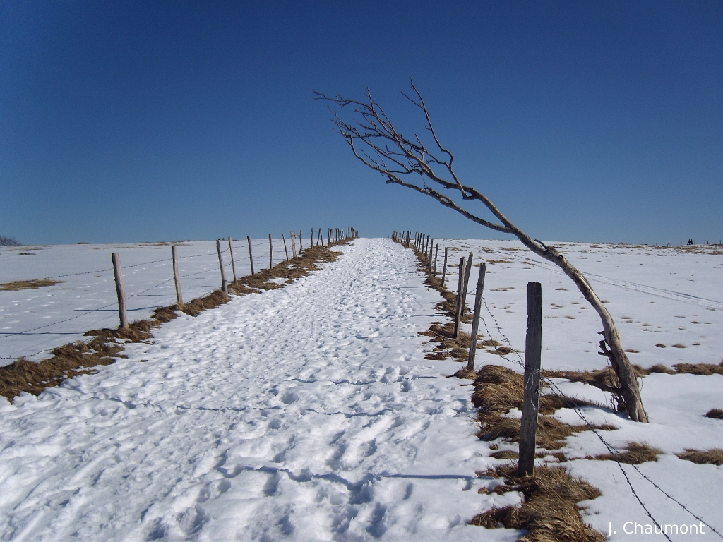 Vue insolite du chemin frontière entre les  Vosges et le  Territoire de Belfort.JPG